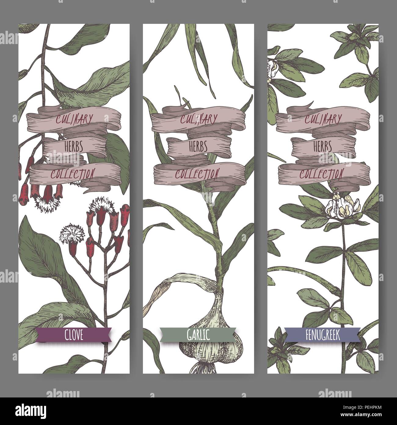 Three color labels with clove, fenugreek and garlic sketch Stock Vector Image &amp; Art - Alamy
