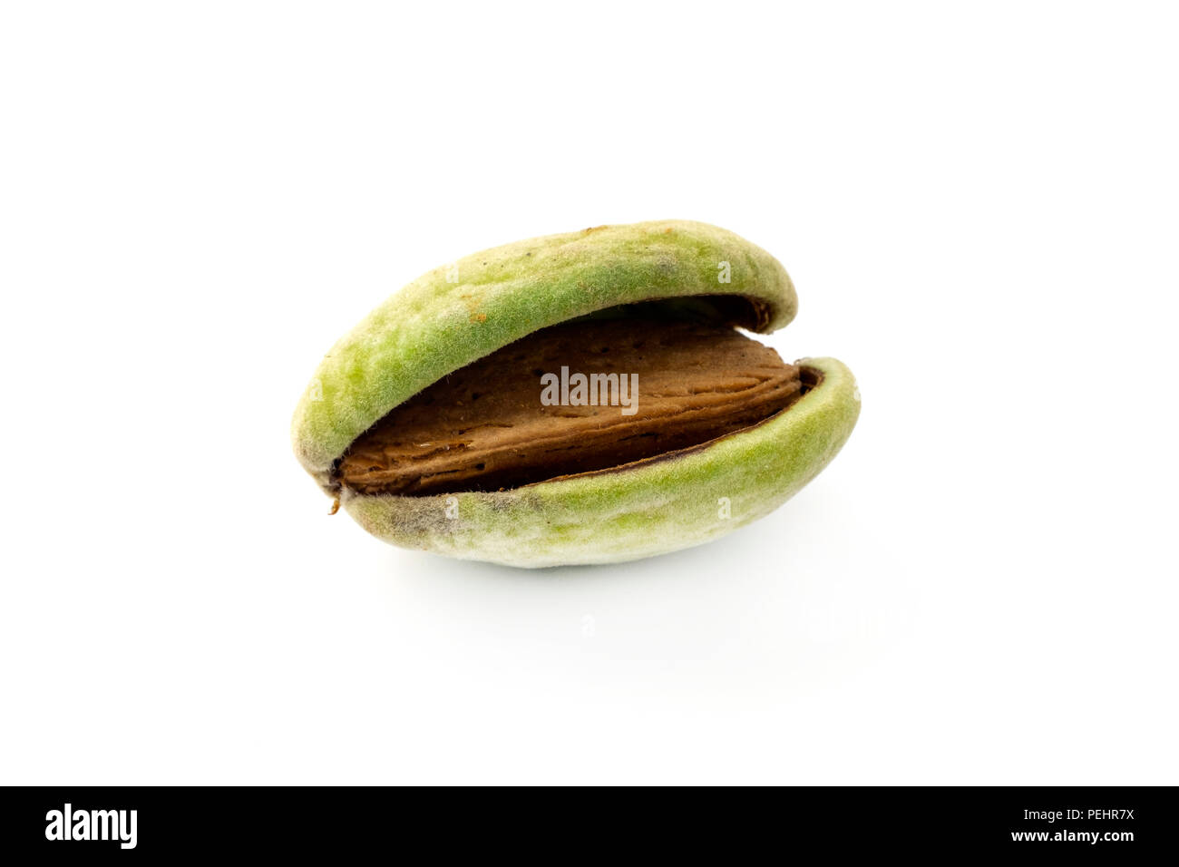 Almond in its hull on a white background Stock Photo