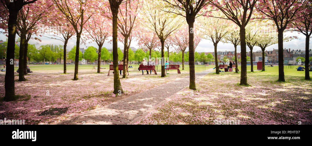 It Was Beautiful Afternoon For >> A Beautiful Afternoon In Amsterdam Walking In The Park Under The It Was Beautiful Afternoon For >> A Beautiful Afternoon In Amsterdam Walking In The Park Under The