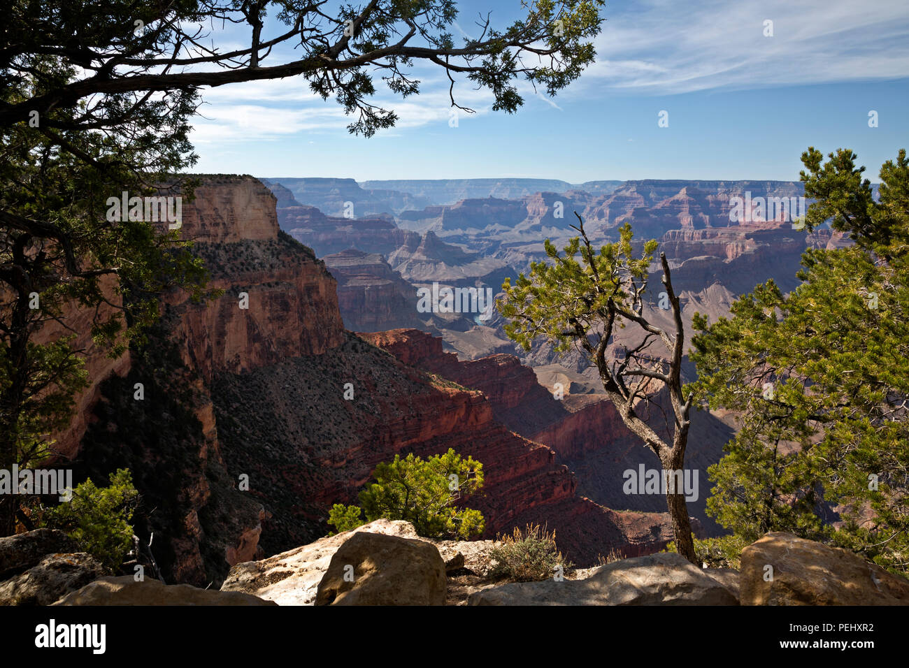 AZ00268-00...ARIZONA - View of the Colorado River from the canyon rim trail near Monument Creek Vista,  located along the Hermit Road in Grand Canyon  Stock Photo