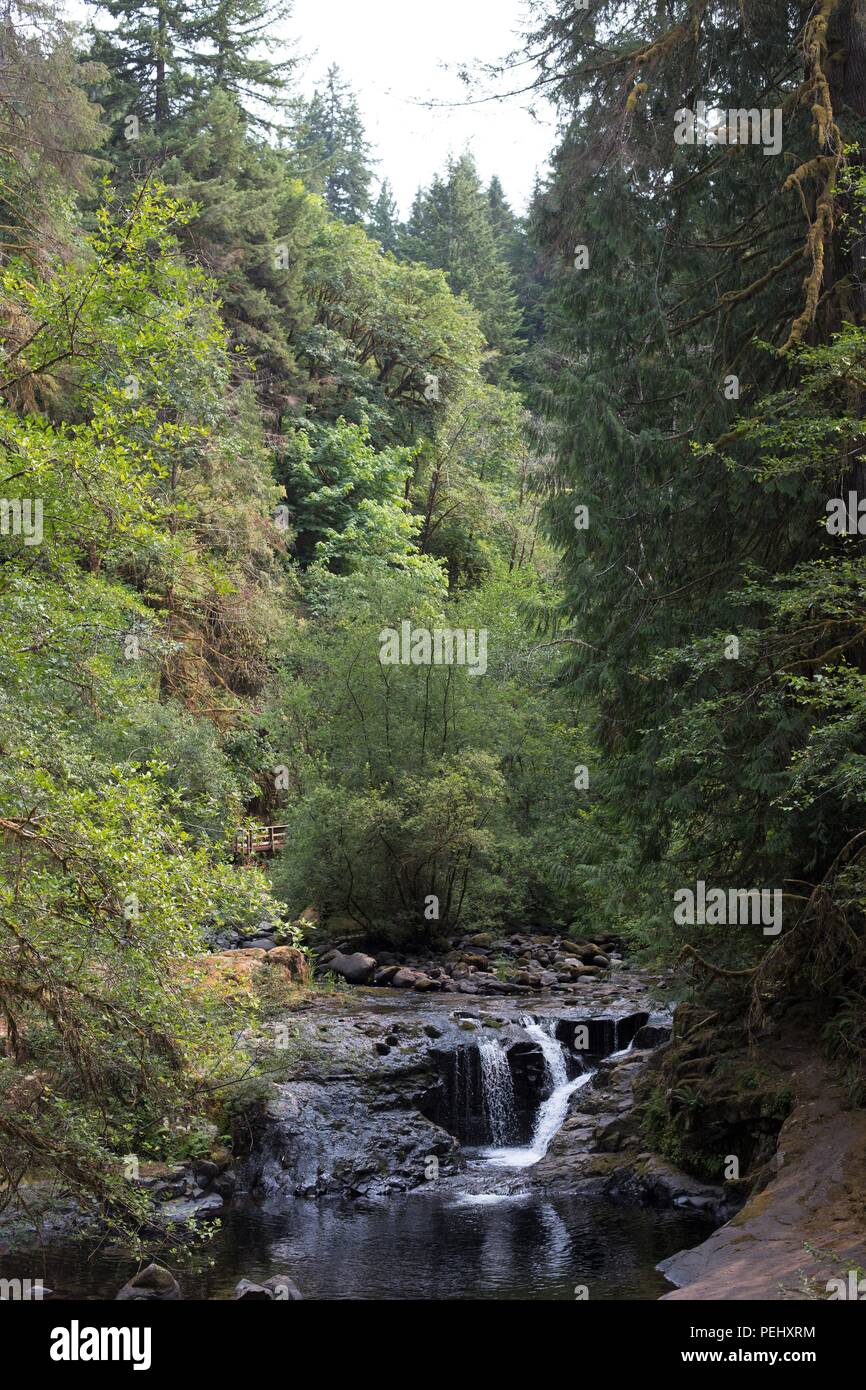 Mapleton waterfall hi-res stock photography and images - Alamy