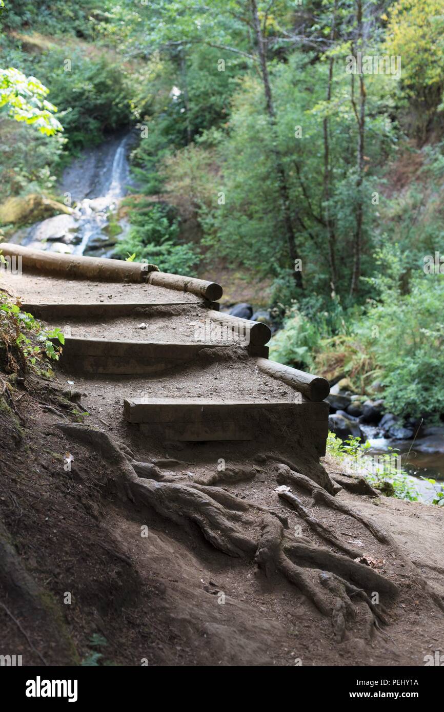 Foot path next to creek hi-res stock photography and images - Alamy