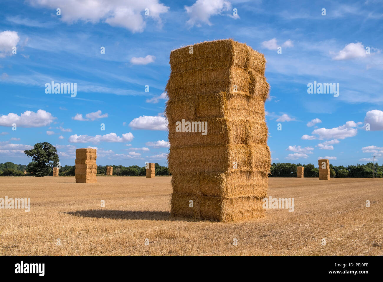 Bales of straw in a field at harvest time. Suffolk, UK. Stock Photo