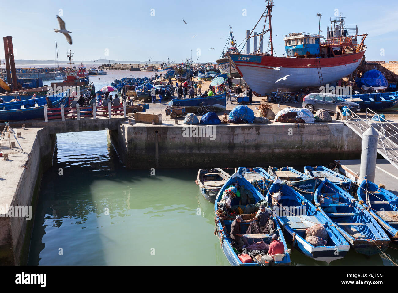 ESSAOUIRA, MOROCCO – JANUARY 9, 2018: A lot of tourists and local people visit the traditional blue fishing boats with fishermen and nets and the fish Stock Photo