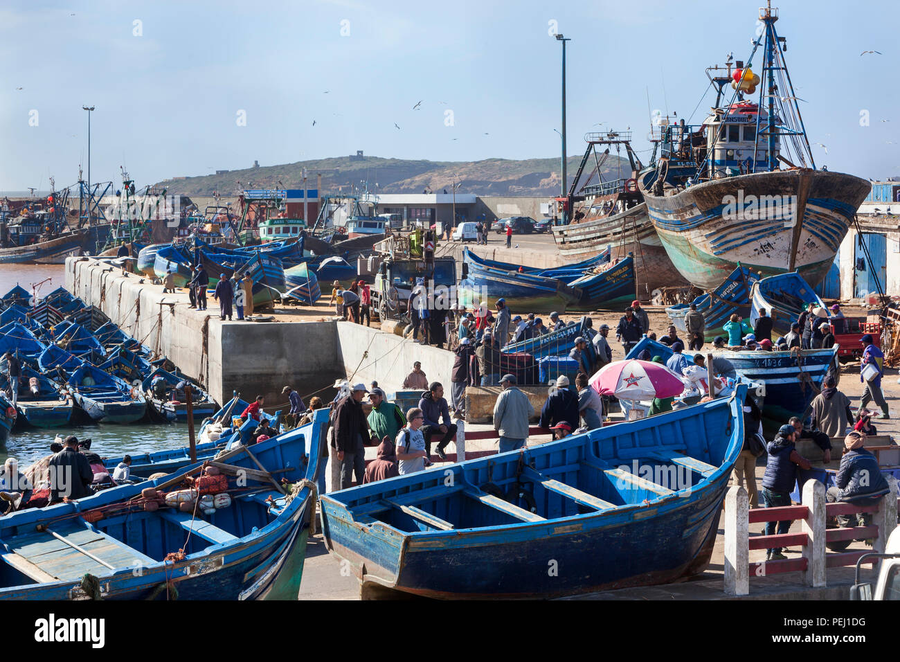ESSAOUIRA, MOROCCO – JANUARY 9, 2018: A lot of tourists and local people visit the traditional blue fishing boats and the fish market at the harbor of Stock Photo