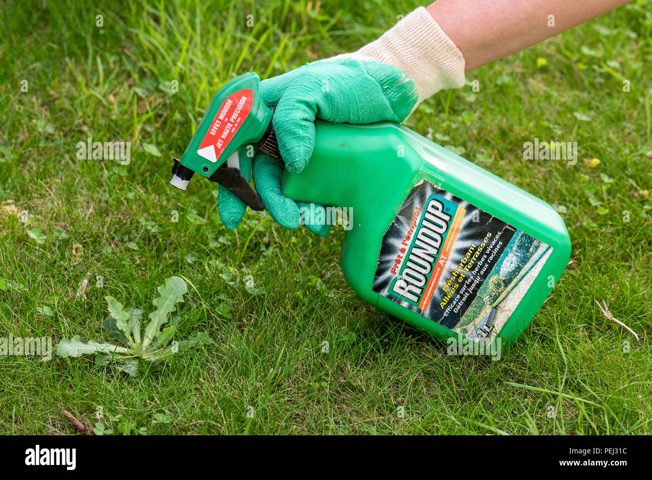 Roundup weedkiller hi-res stock photography and images - Alamy