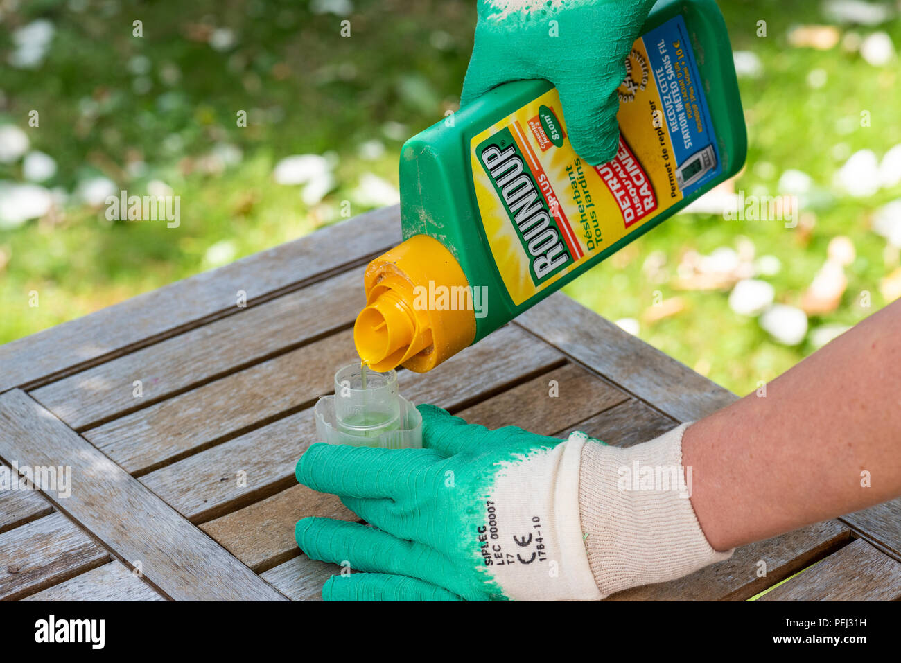 Paris France August 15 2018 Gardener Using Roundup Herbicide In A Paris france august 15 2018 gardener using roundup herbicide in a