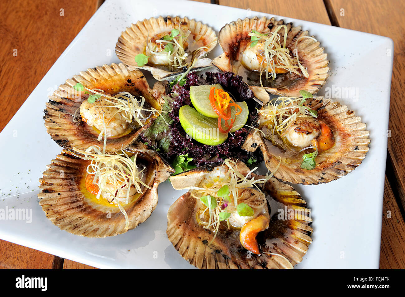 Baked parmesan scallops. Typical dish of Peruvian cuisine Stock Photo