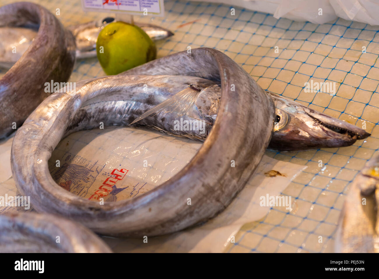 Italy Sicily Syracuse Siracusa Ortygia historic street fresh food & fish market pesce spatola spatole percophidae duckbill percomorph Stock Photo