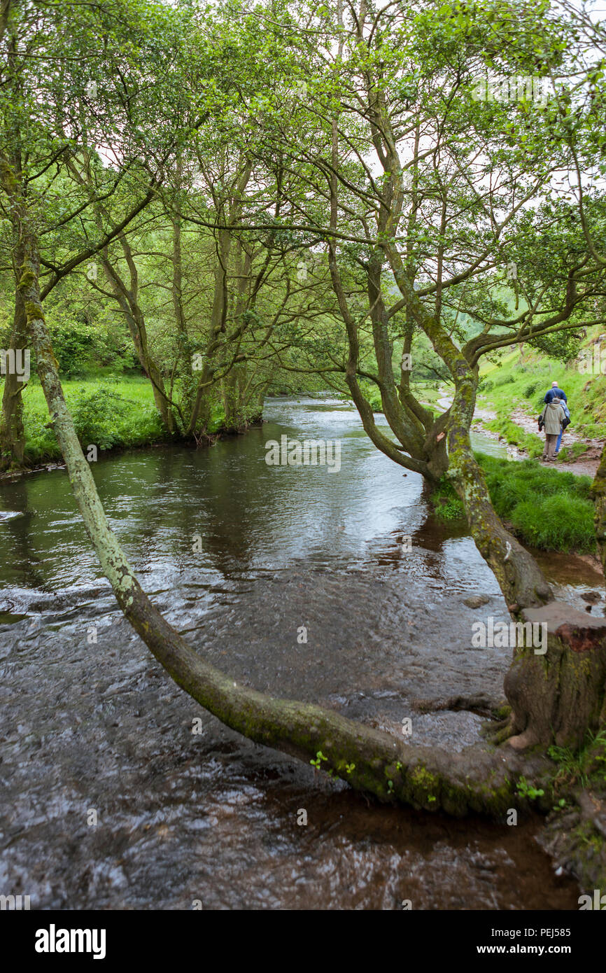 The River Dove near Thorpe Cloud, Derbyshire Stock Photo