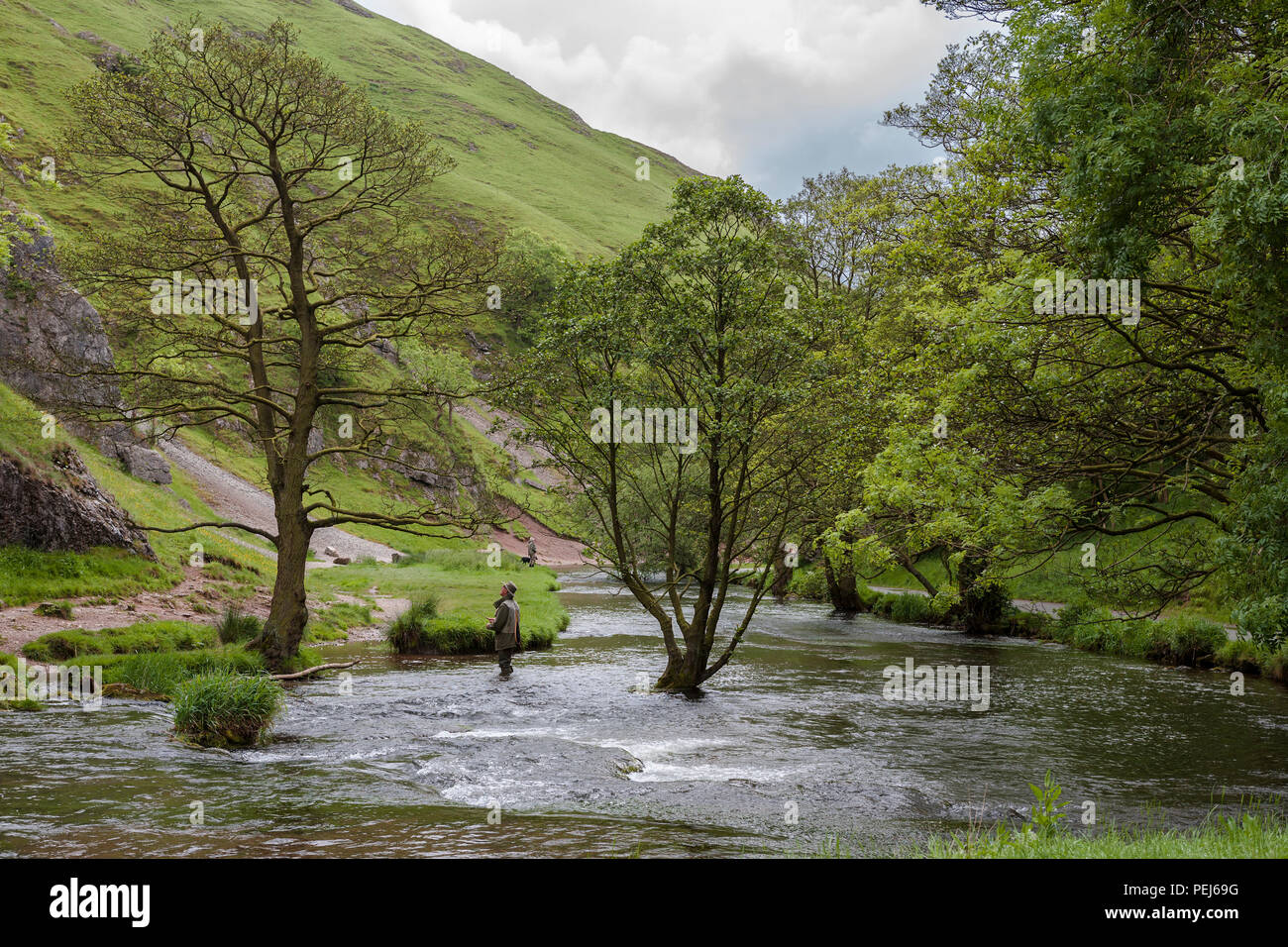Fly-fishing on the River Dove near Thorpe Cloud, Dovedale, Derbyshire, UK Stock Photo