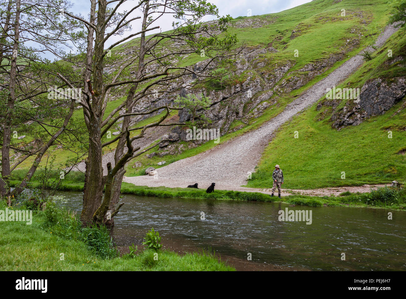 A man and his dogs by the River Dove near Thorpe Cloud, Dovedale, Derbyshire Stock Photo