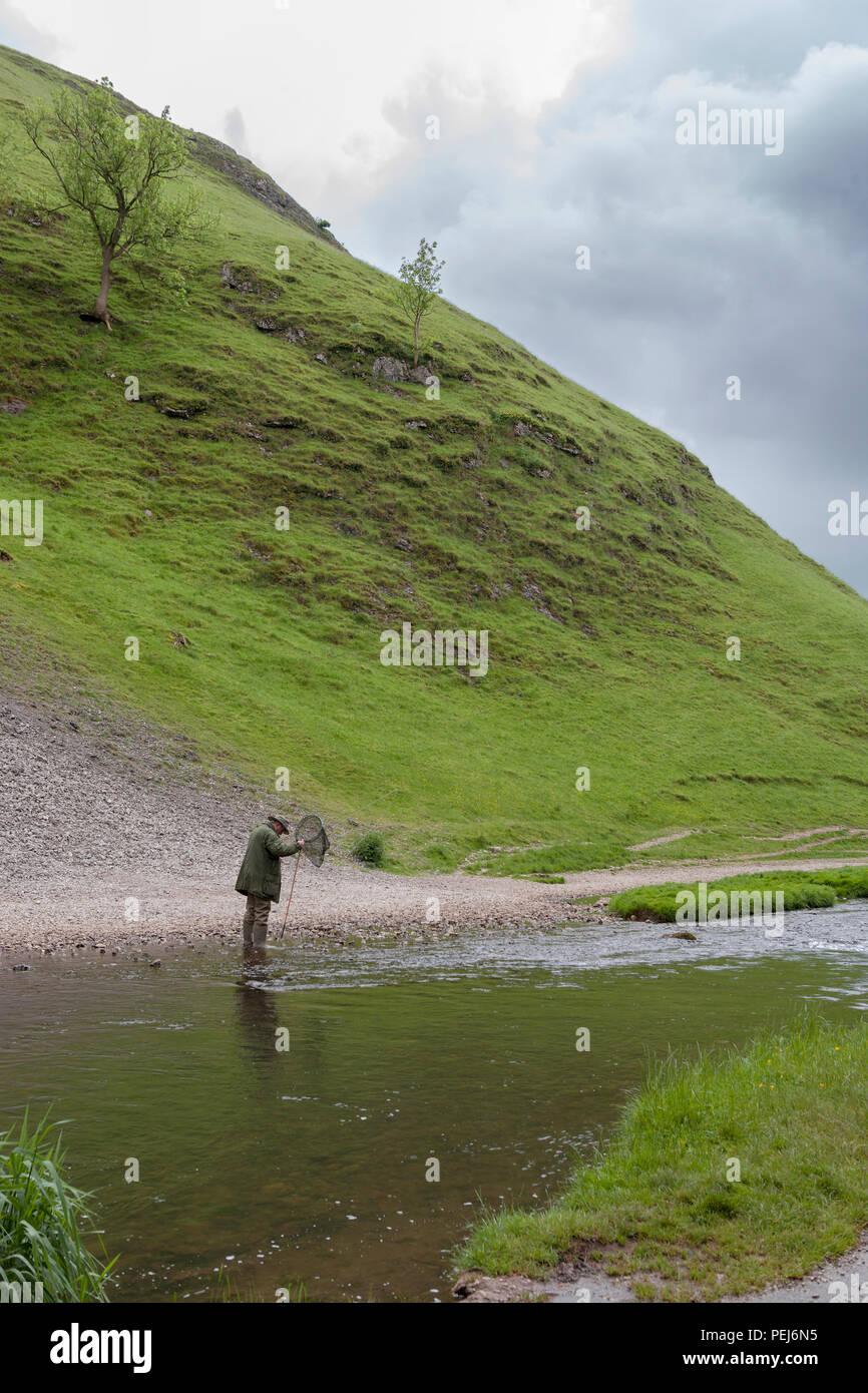 Fly-fishing on the River Dove near Thorpe Cloud, Dovedale, Derbyshire Stock Photo