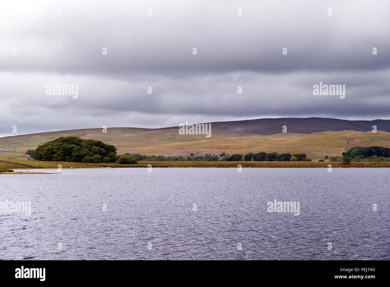 Malham Tarn is a glacial lake in the Yorkshire Dales. It is one of only eight upland alkaline lakes in Europe and is of major conservation interest. Stock Photo