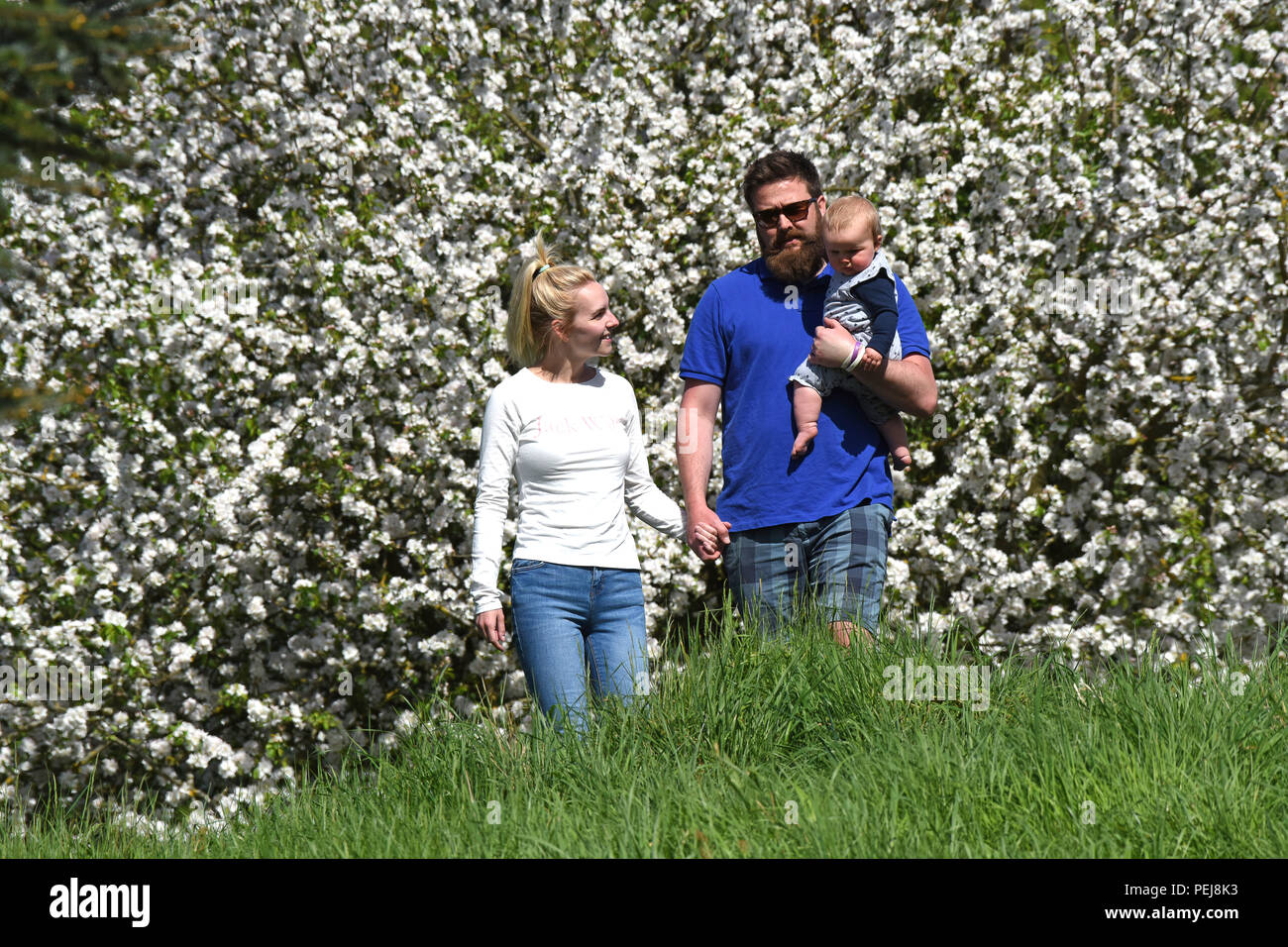 Young couple walking with baby in Springtime Britain Uk Stock Photo