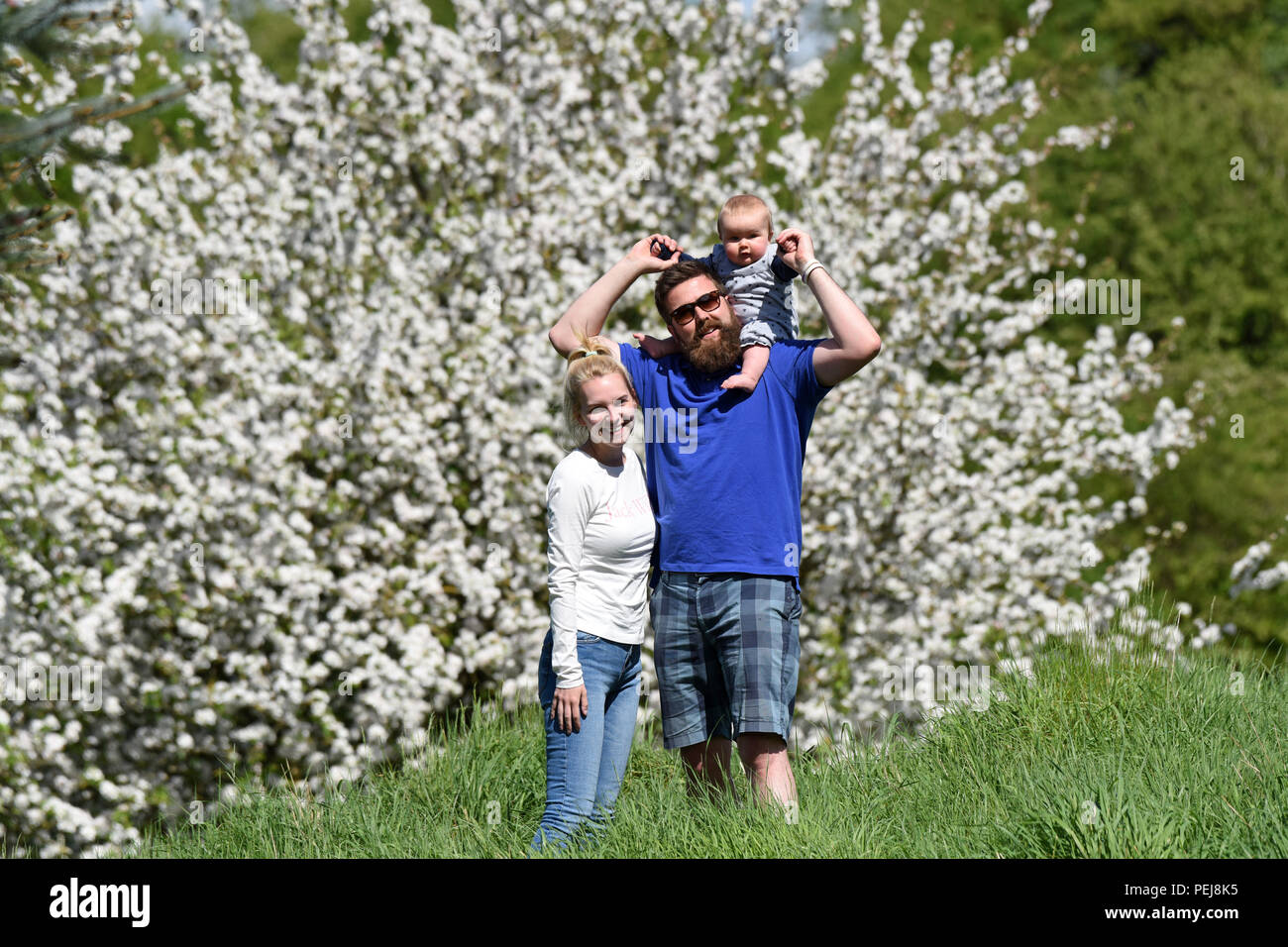 Young couple walking with baby in Springtime Britain Uk Stock Photo