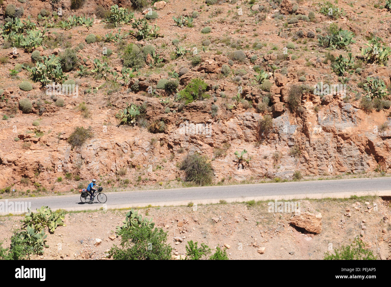 A lone cyclist makes her way uphill in the arid scrub of the Anti Atlas mountains in Morocco Stock Photo
