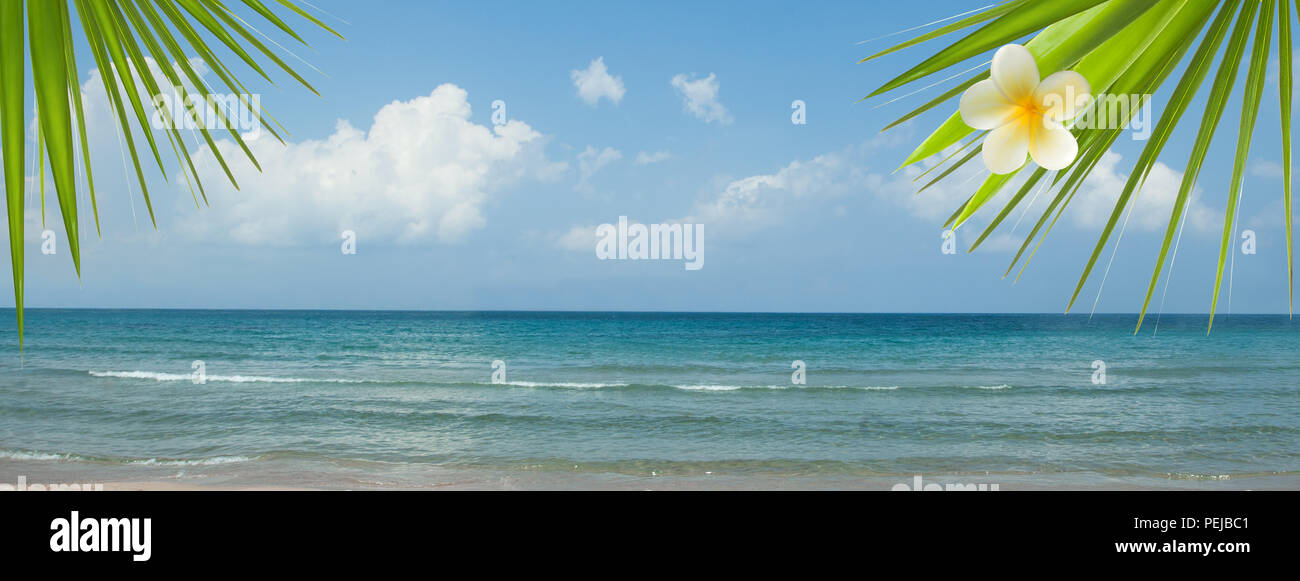 Empty sea and beach background with copy space. Beach scene Stock Photo ...