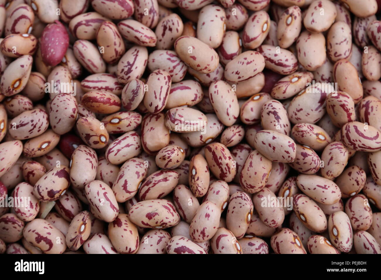 Common beans hires stock photography and images Alamy