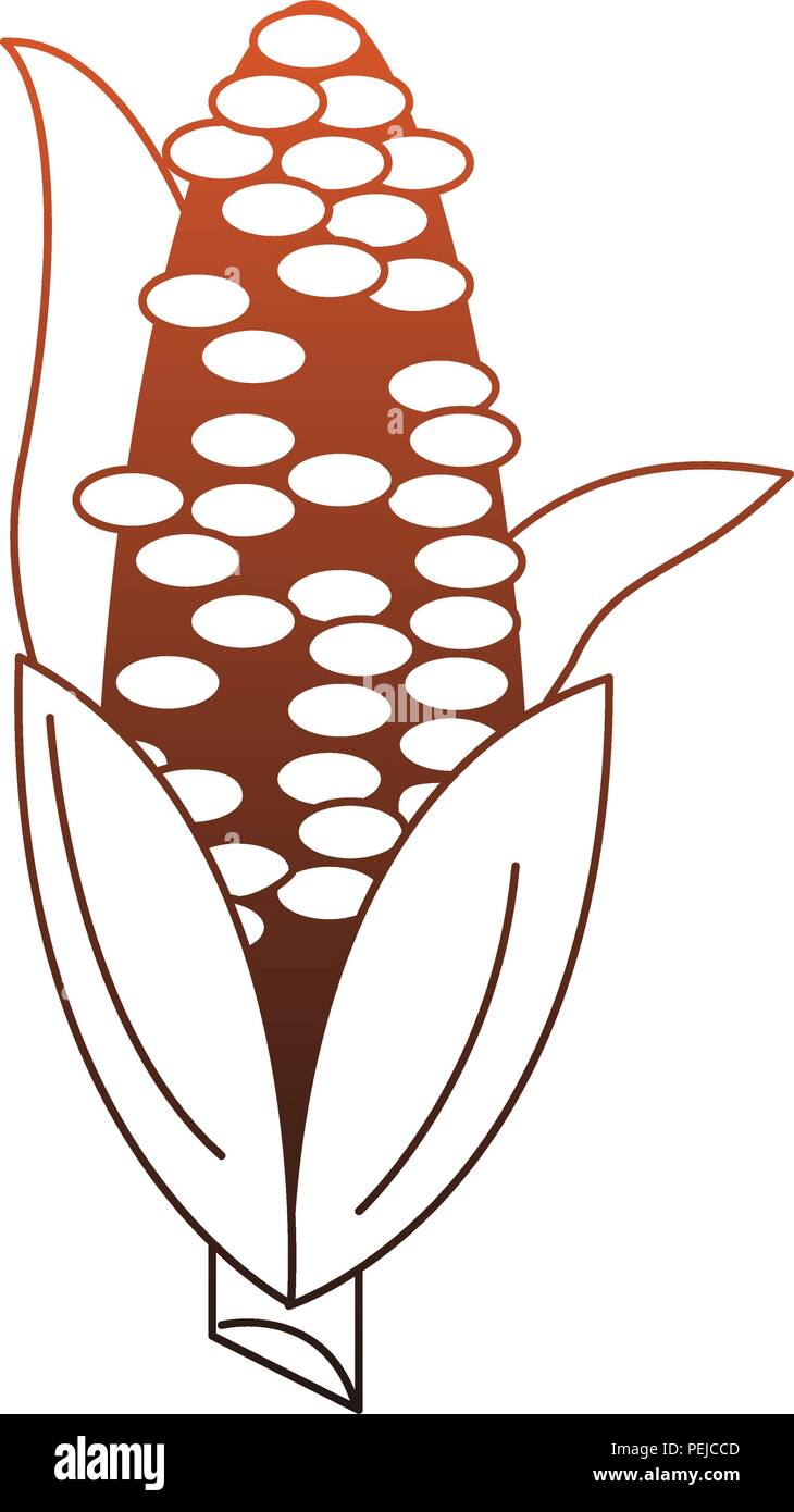 Corn fresh vegetable red lines Stock Vector Image & Art - Alamy