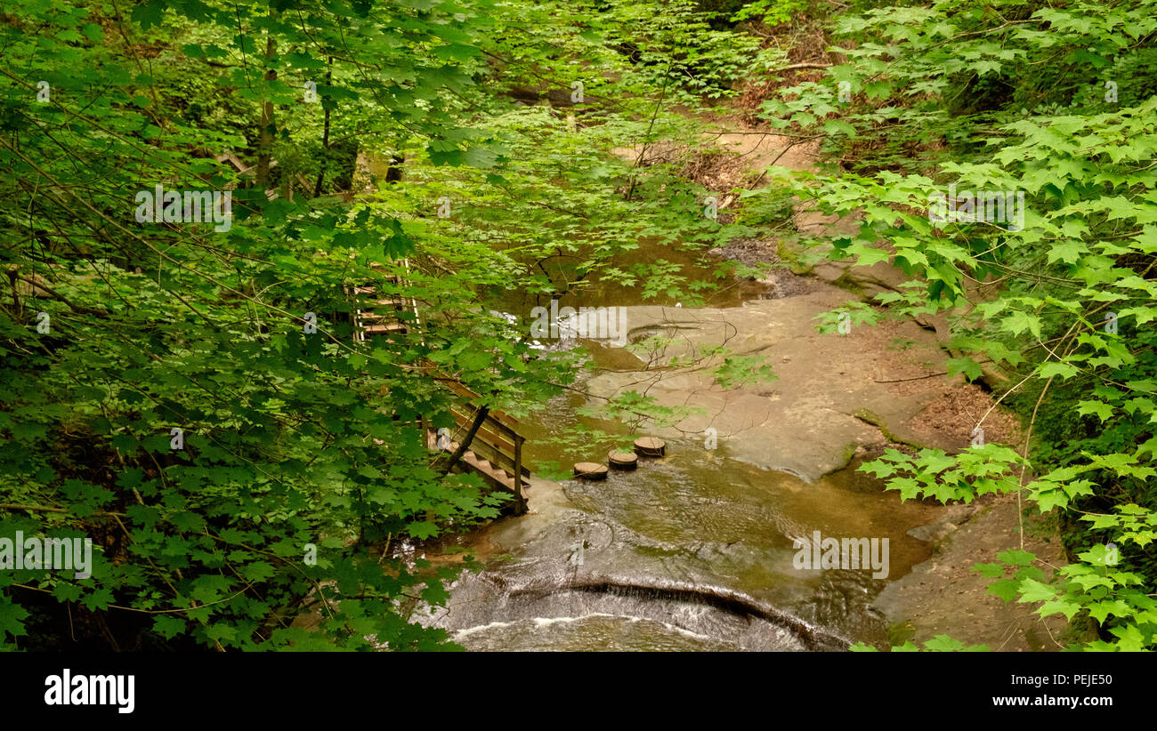 This is one of the trails at the - This Is One Of The Trails At The Matthiessen State Park PEJE50 