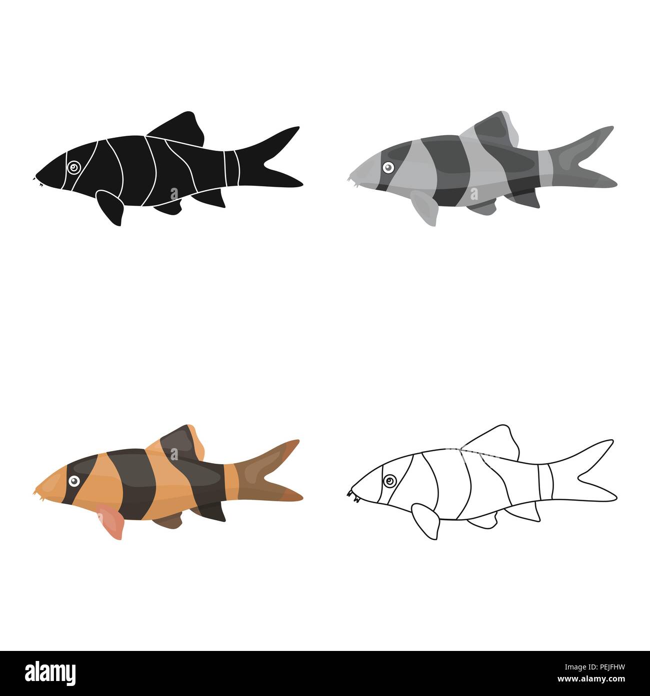 Botia clown (Botia macracantha) fish icon cartoon. Singe aquarium fish icon from the sea,ocean life . Stock Vector
