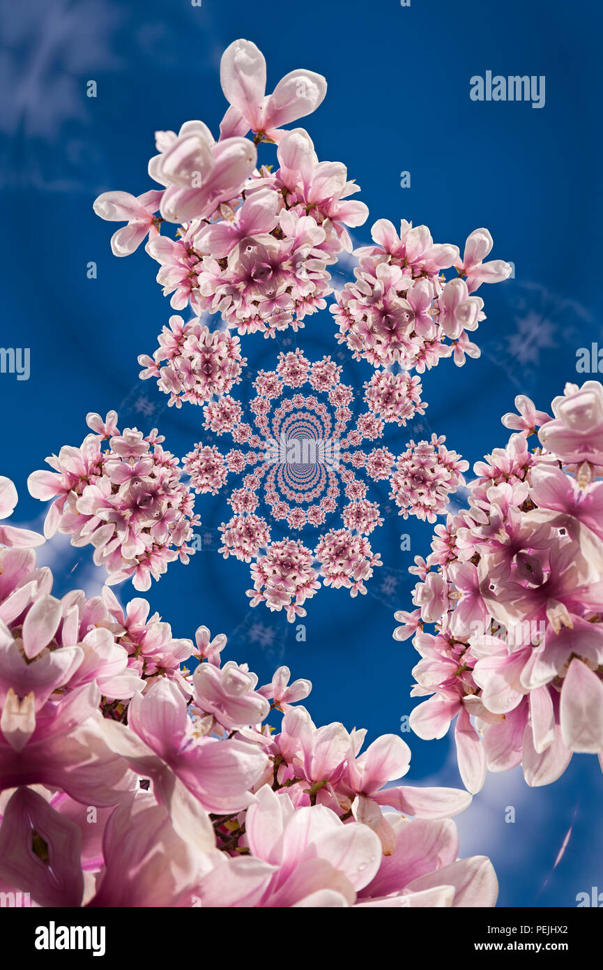 Kaleidoscopic Pattern of a Magnolia Tree, based on own Reference Image Stock Photo