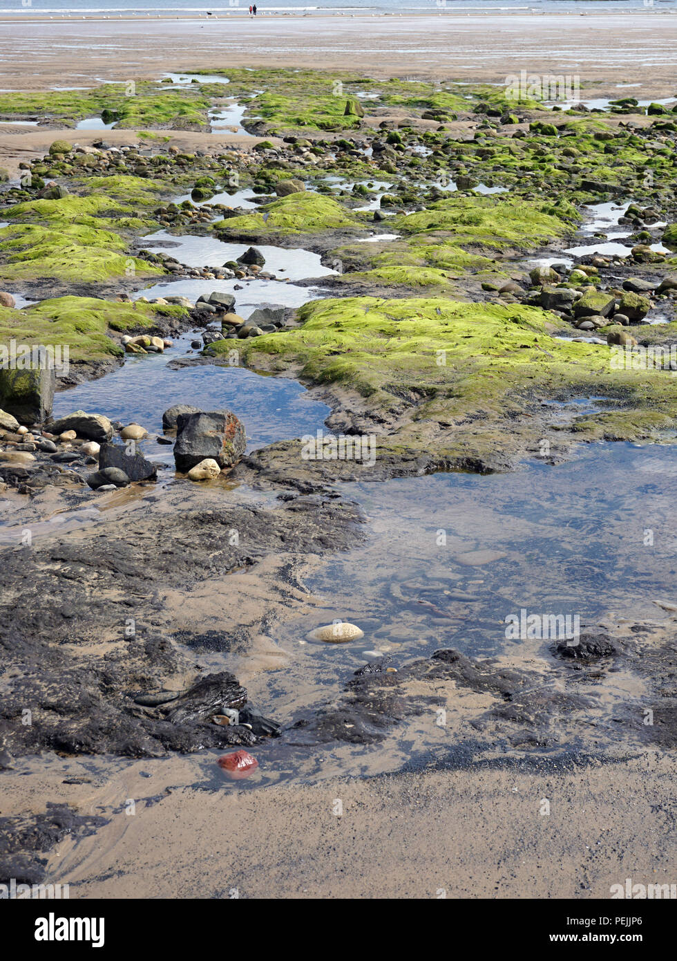 Seaton Carew Hartlepool Low Tide Rock pools Stock Photo Alamy