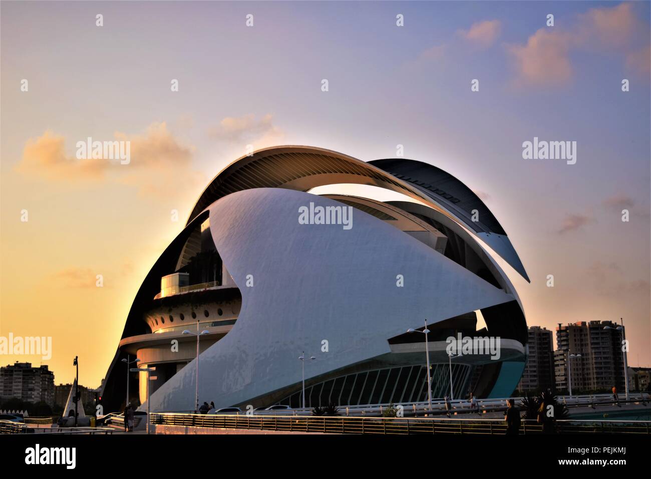 Valencia art and science center by Architect Santiago Calatrava is a