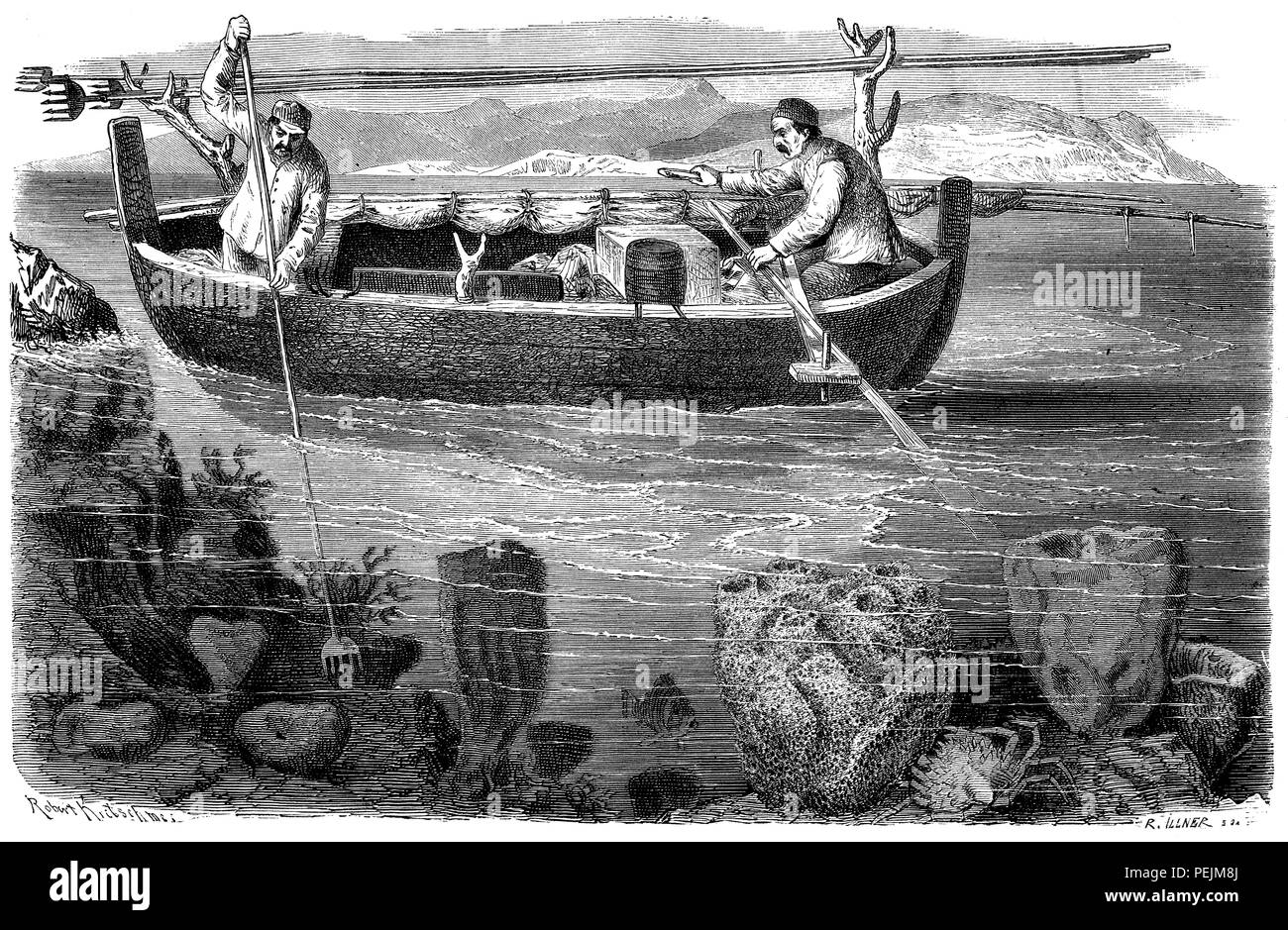 sponge fishing,   1872 Stock Photo