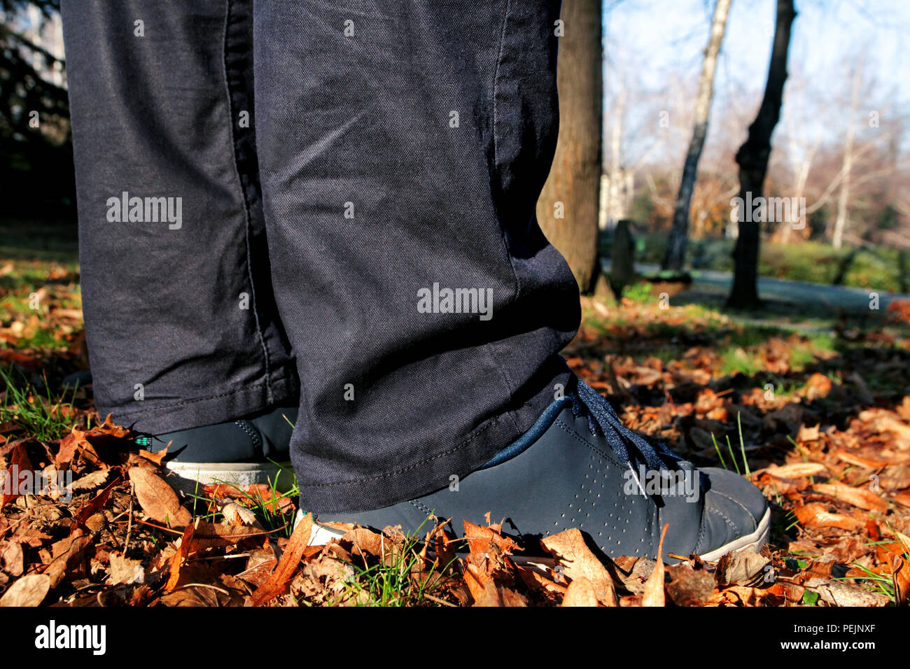 Sneakers city park Clearance