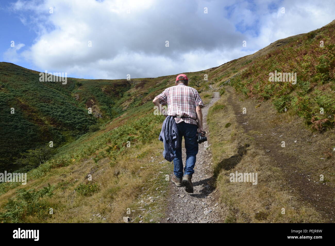 Walker in the Shropshire Hills, from Carding Mill Valley to the Long Mynd. England, UK Stock Photo