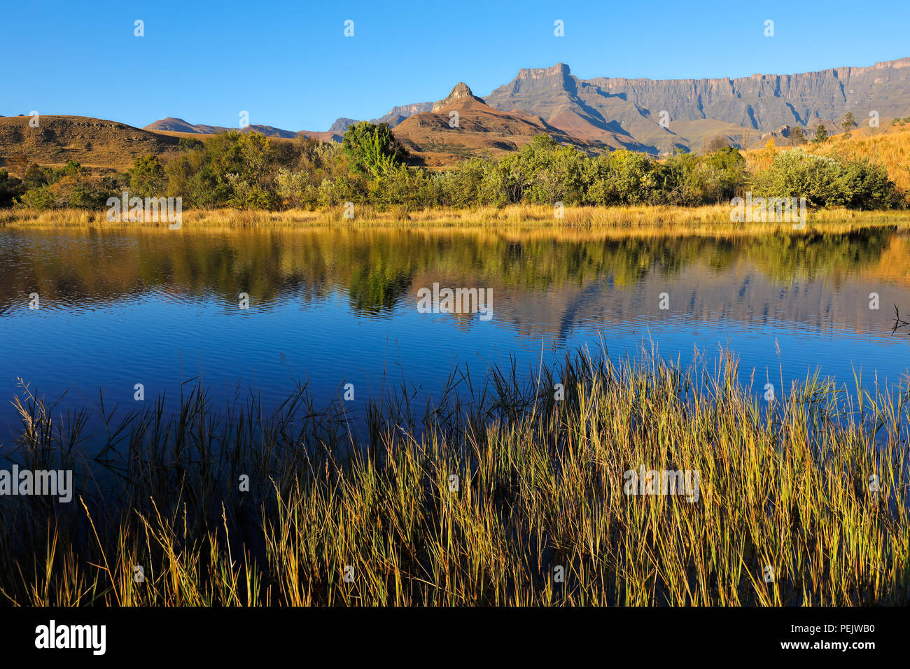 Drakensberg mountains with reflection in water, Royal Natal National Park, South Africa Stock Photo