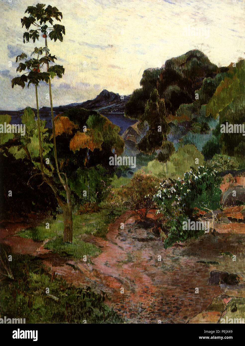 Tropical Vegitation, Gauguin, Paul Stock Photo
