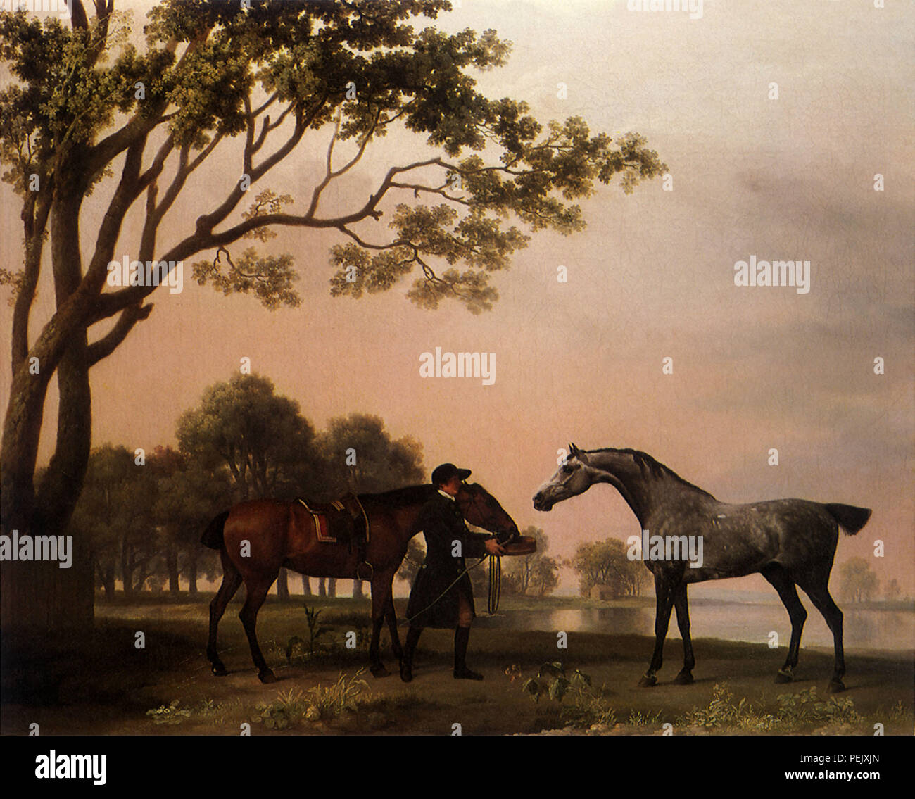 Bay Hunter and Arabian, Stubbs, George Stock Photo