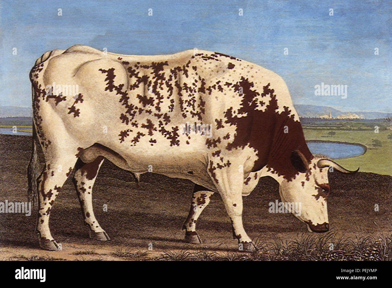 blackwell hires stock photography and images Alamy