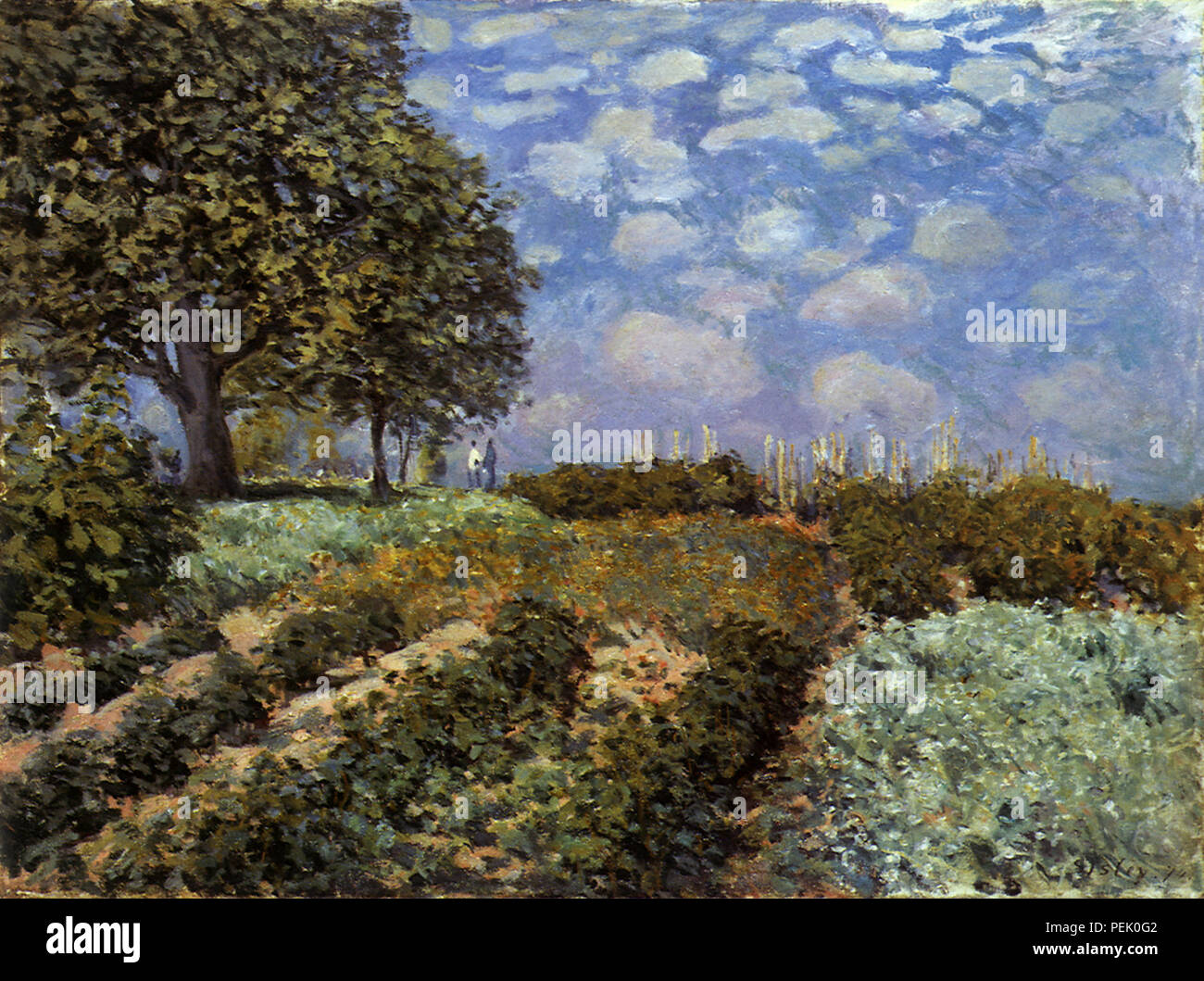 The Fields, Sisley, Alfred Stock Photo