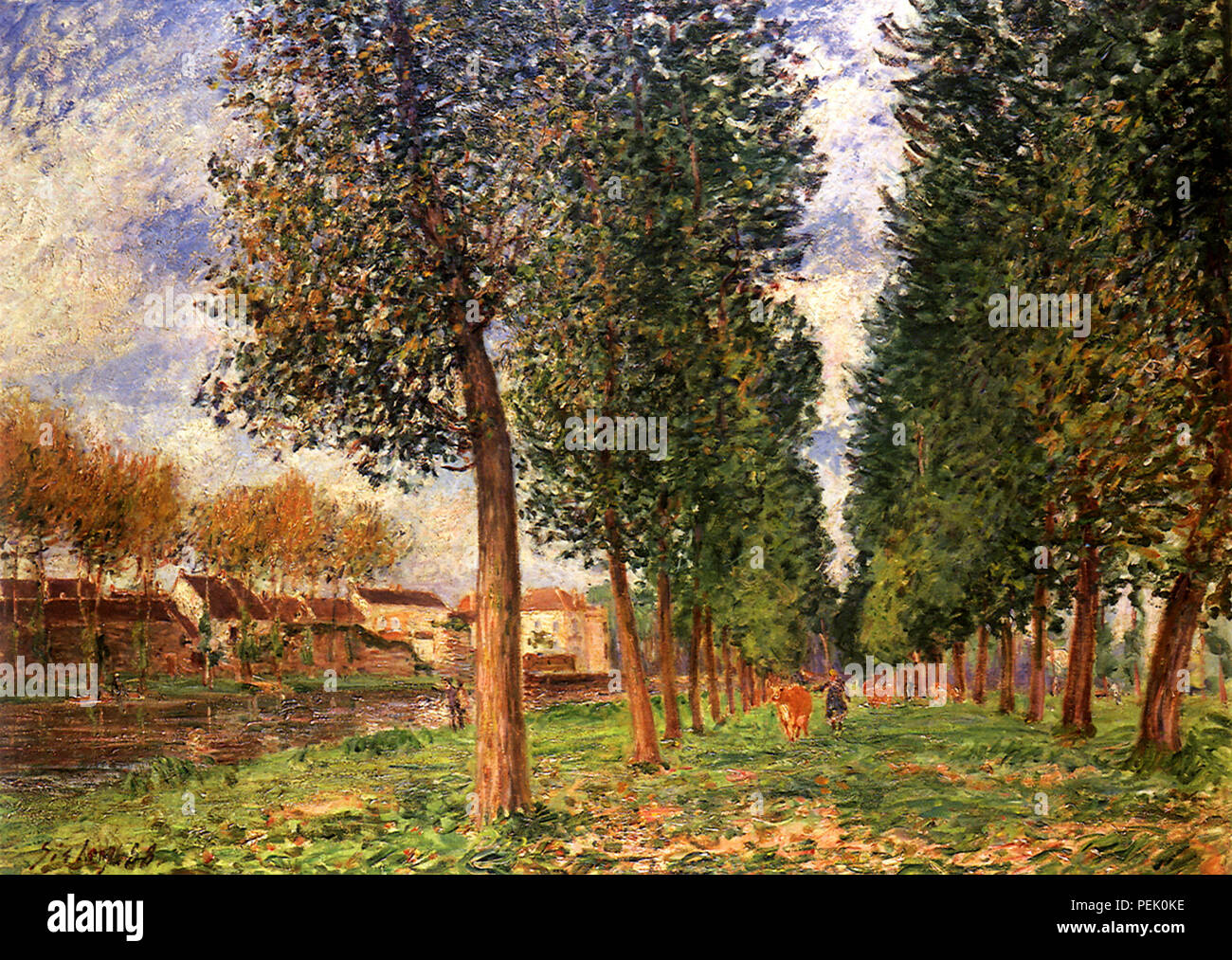Poplar Avenue at Moret: Cloudy Day, Morning, Sisley, Alfred Stock Photo