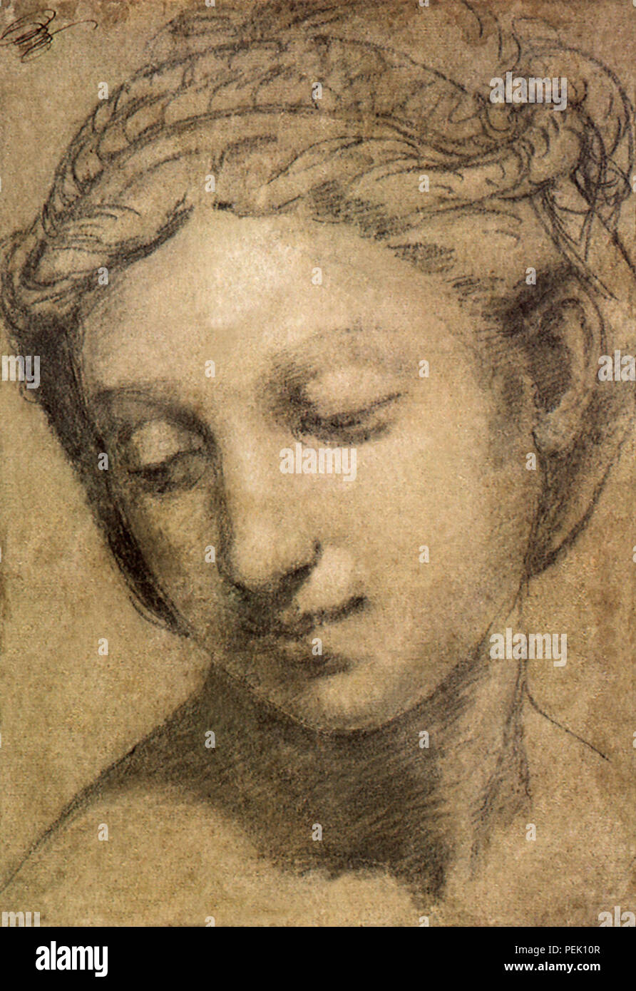 Head of a Woman, Raphael, Raffaello S. Stock Photo