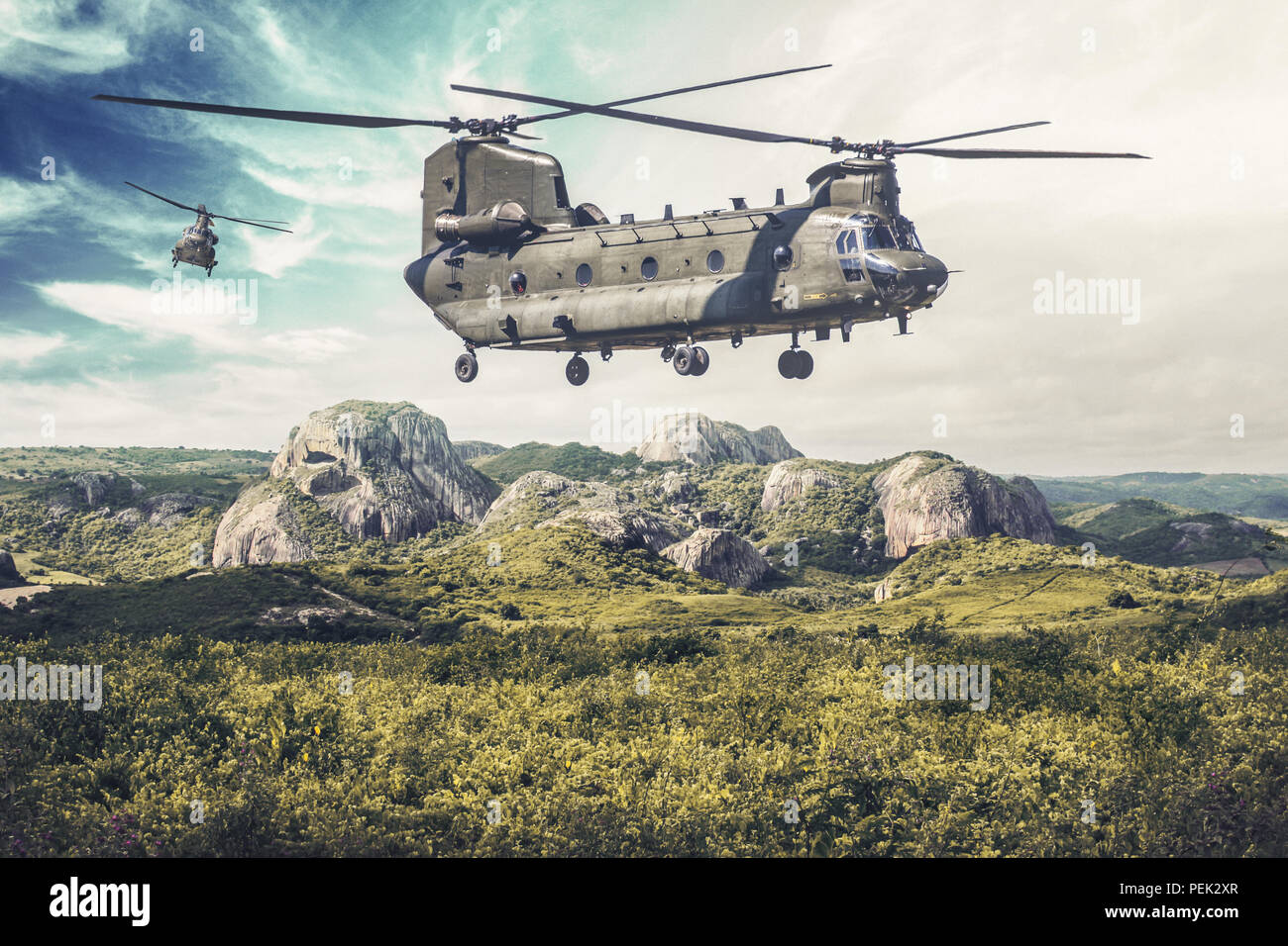 American twin-engine, tandem rotor, heavy-lift helicopter flies over a green landscape Stock Photo