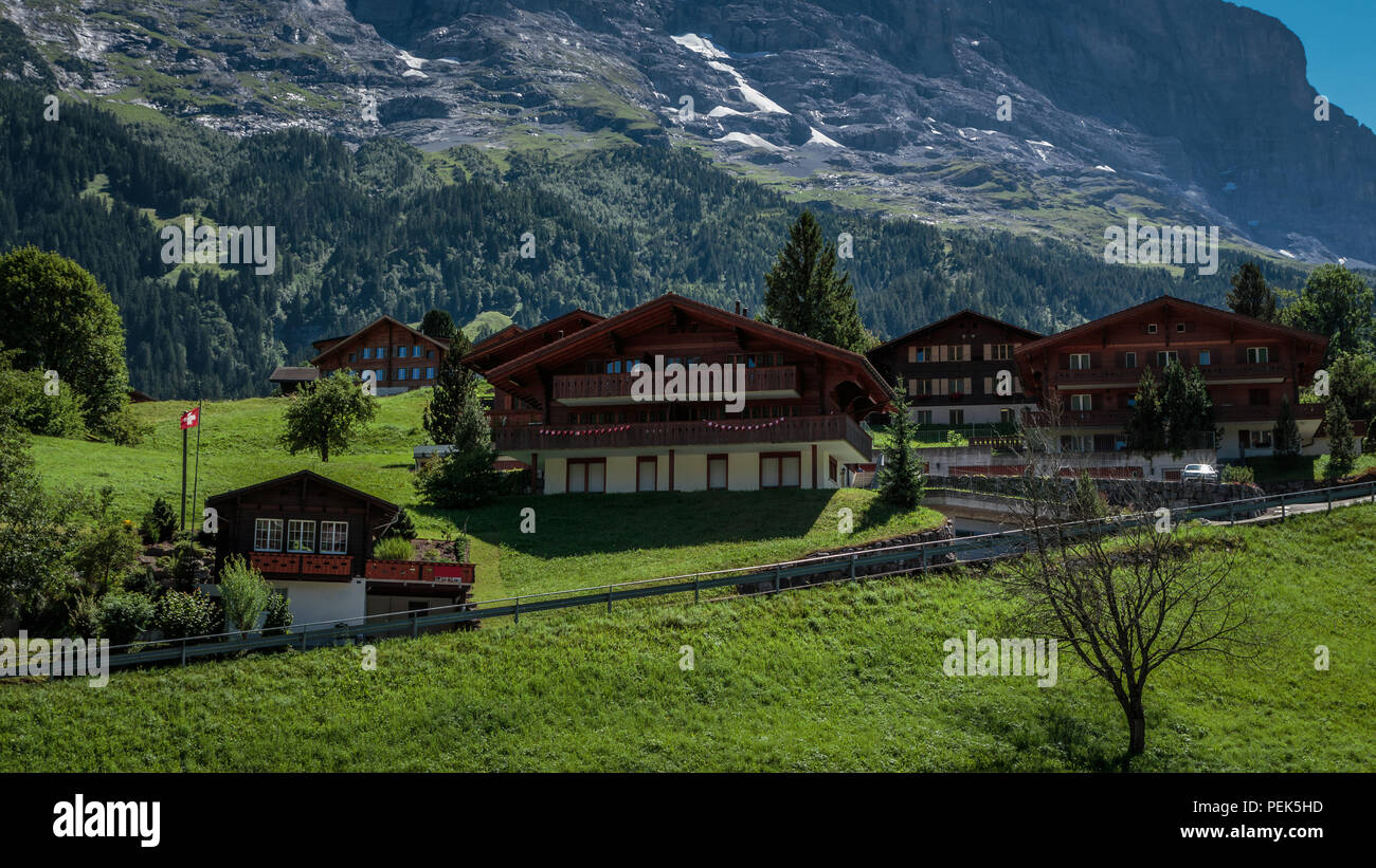 Traditional wooden chalets in picturesque Swiss town Grindelwald in summer in front of the north face of the Eiger mountain surrounded by vibrant gree Stock Photo