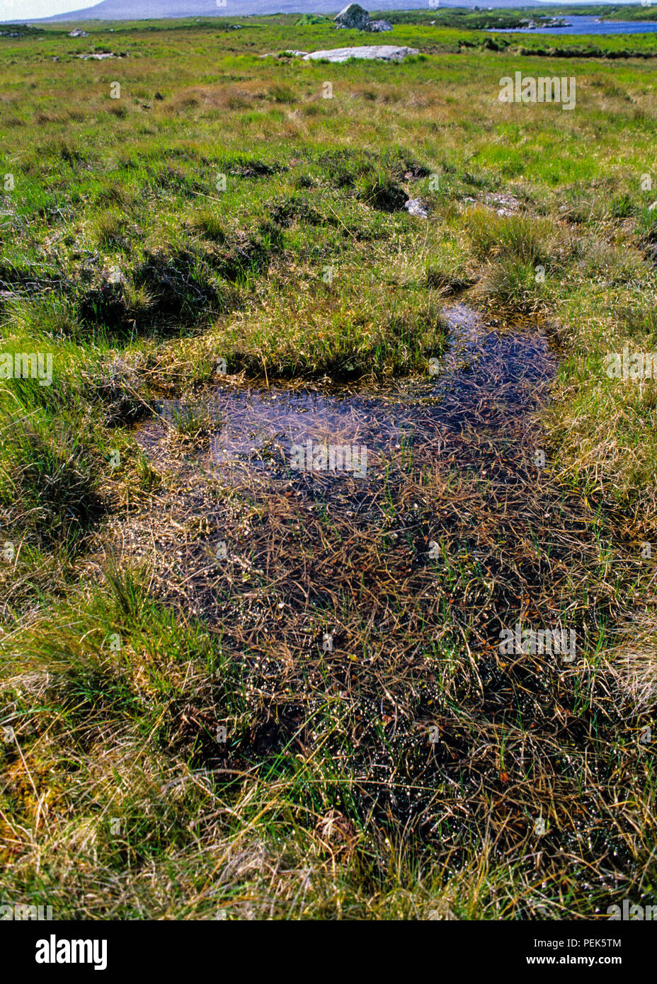 Wetlands ireland hires stock photography and images Alamy