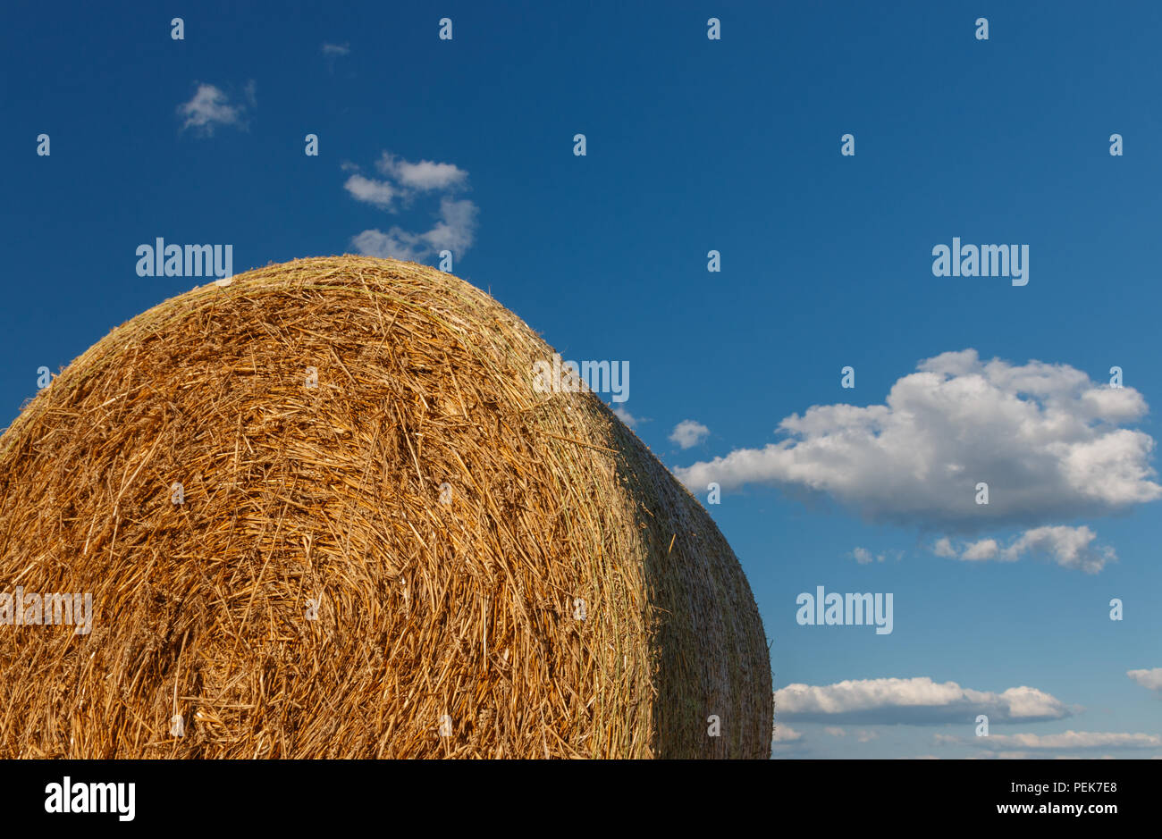 Straw bale in front of a blue sky with some clouds on a summer ...