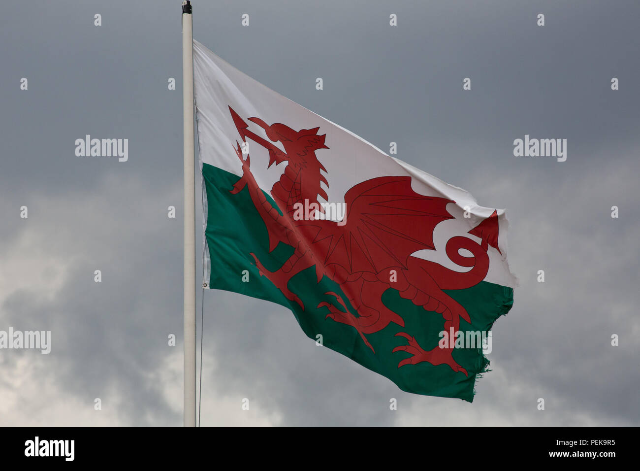 The Welsh flag flying in the heart of North Wales Stock Photo