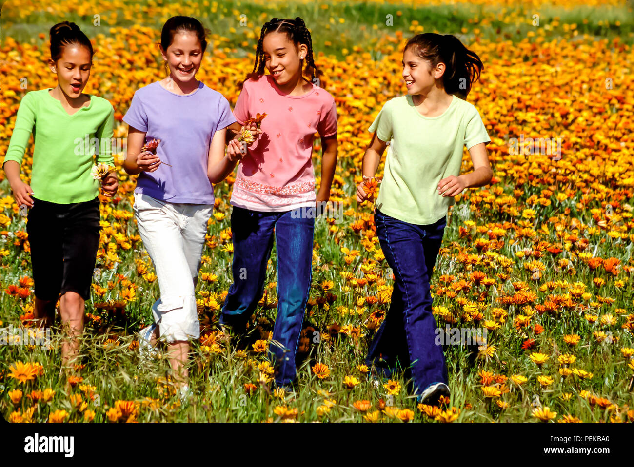 Happy multi racial tween preteen boys and girls happily  running through flower field in spring  season © Myrleen Pearson  ...Ferguson Cate Stock Photo