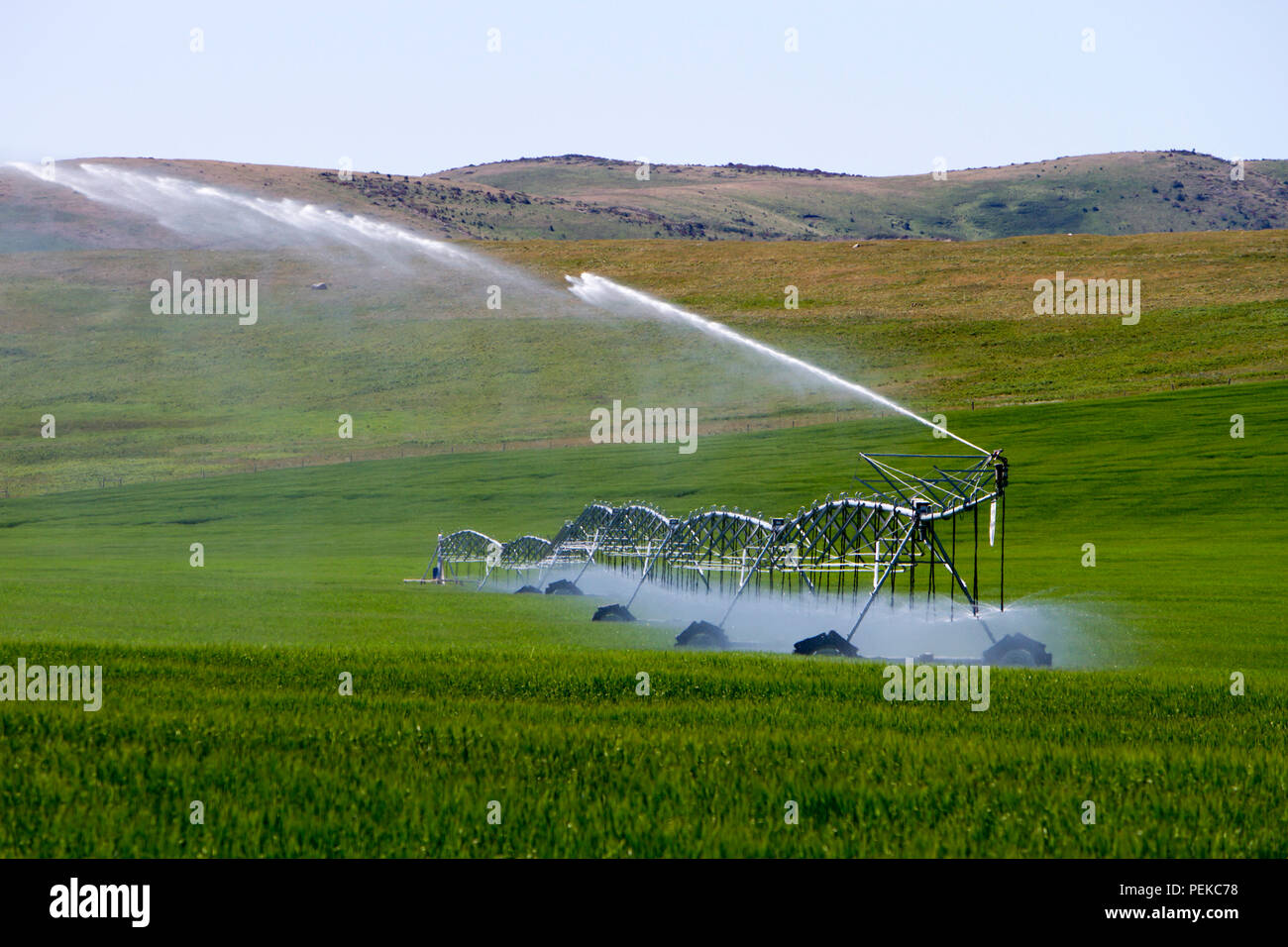 Center pivot irrigation equipment watering a field near Cowley, Alberta, Canada. Stock Photo