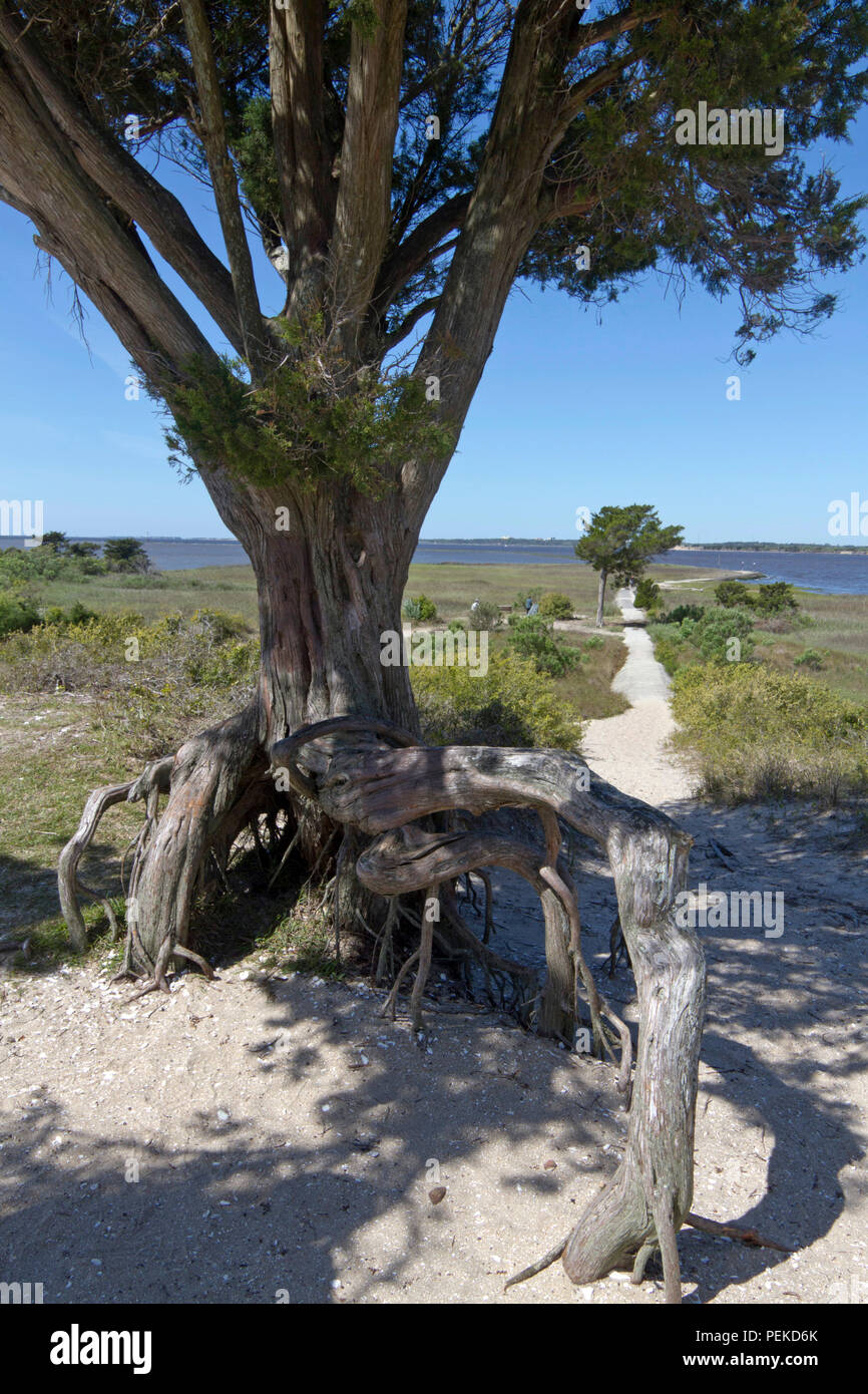 Fort Fisher Tide Chart