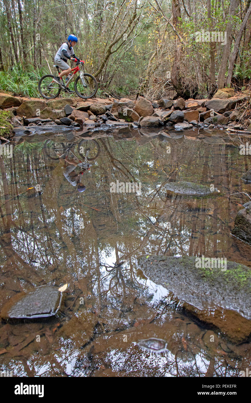 hollybank mountain bike park