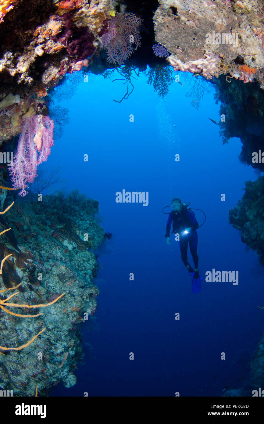 Diver (MR) at the entrance to a cavern with gorgonian and alcyonarian ...