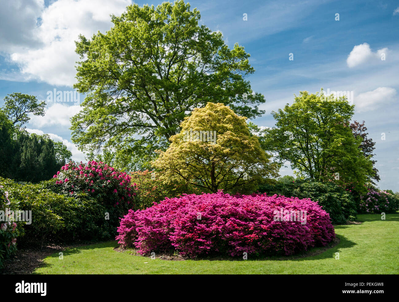Langley park gardens hires stock photography and images Alamy